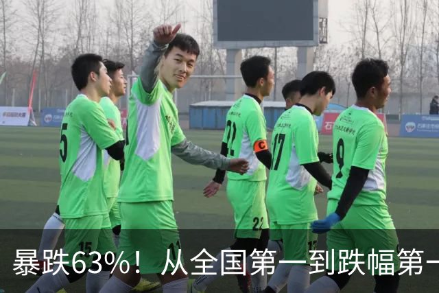 暴跌63%！从全国第一到跌幅第一，民营经济第一城都经历了什么？