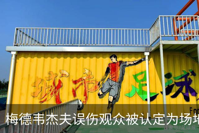 梅德韦杰夫误伤观众被认定为场地内鲁莽击球，因此直接判负