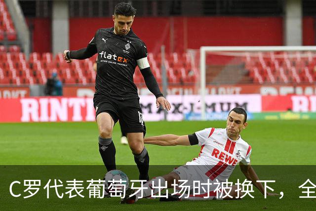 C罗代表葡萄牙出场时被换下，全场球迷起立鼓掌